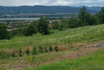 Teren Construcții intravilan de 14000 mp, în 1 Mai - 3