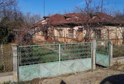 Teren de 1300 mp, în Ulmi - 14