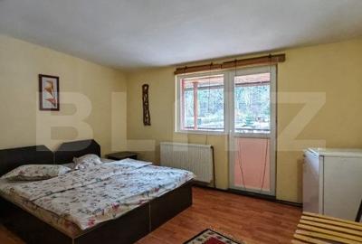 Casă individuală cu 9 camere cu Teren 3800 Mp în Glăjărie - 12