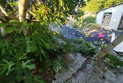 Casă veche din chirpici - 9