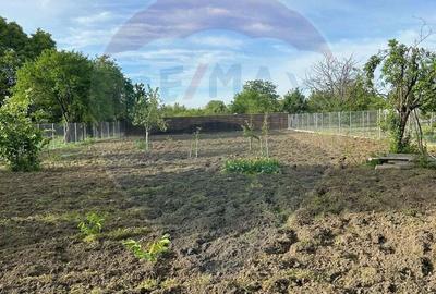 Casa Golesti cu 2 camere- teren 1296mp - 17