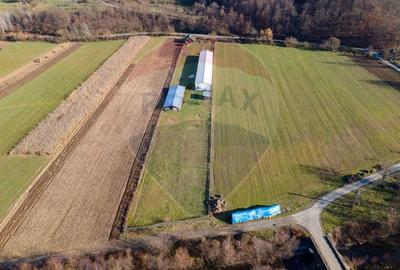 Spațiu industrial, de 650 mp, în Ribița - 13