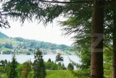 Teren Colibita, 1120 mp - 7