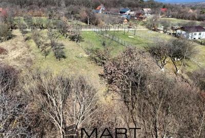 Teren de 1000 mp, în Central