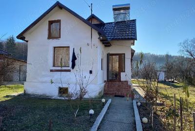 Casă cu Teren 1008 Mp în Coșești - 1