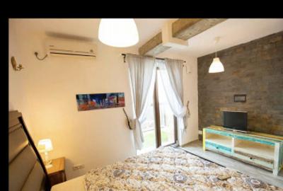 Brancoveanu dumbraveni vila studio dubla - 7