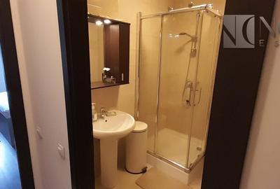 Apartament cu 2 camere decomandat, mobilat în Iancului - 10