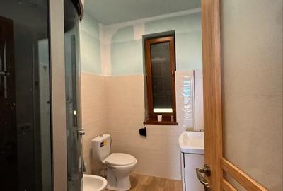 Casă cu 3 camere cu Teren 2400 Mp în Vulcan - 11