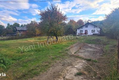 Casă cu 2 camere în Domnești - 6