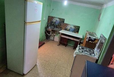 Casă cu Teren 1464 Mp în Plopșoru - 4