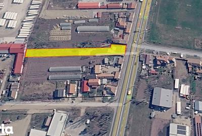 Casă cu Teren 1500 Mp în Borș - 3