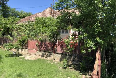 Casă individuală cu 2 camere cu Teren 1350 Mp în Râciu - 3