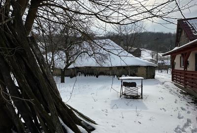 Casă cu 4 camere cu Teren 19200 Mp în Central - 10