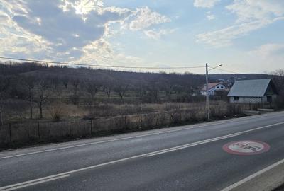 Teren de 5400 mp, în Miroslava - 4