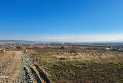 Teren de 607 mp, în Rusciori - 2