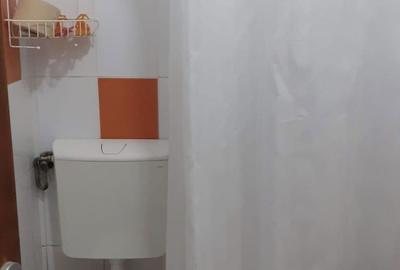 Garsonieră decomandată în Tudor - 2