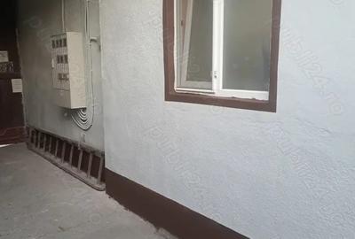 De vazare Casa in Timisoara. - 2