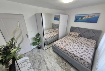 Apartament cu 2 camere decomandat, mobilat în Șagului - 15