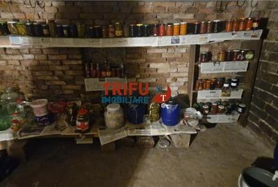 Casă cu 4 camere în Șeușa - 5