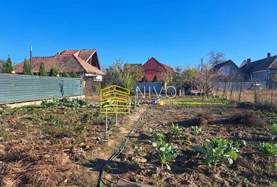 Casa singur in curte Santana de Mure? - 9