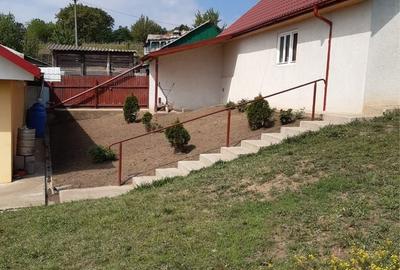 Casă cu 4 camere cu Teren 3000 Mp în Popești - 8