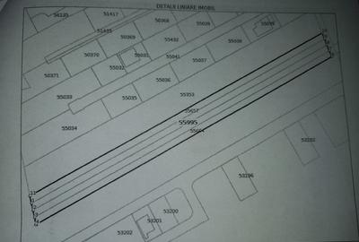 Catelu | Teren 5000MP | Intravilan | 15 Minute Metrou | OPORTUNITATE - 5