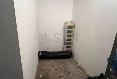 REA1027176 Apartament 3 camere si Spatii de Birou I Curte l Garajl Piata Muncii - 13