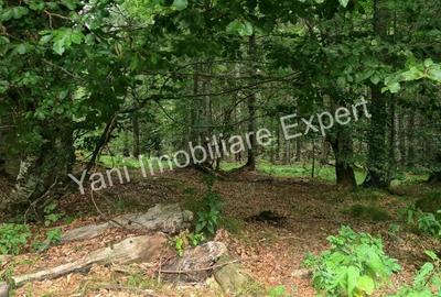 Teren de vanzare in apropiere de Transfagara?an ?i Valea Valsanului. - 18