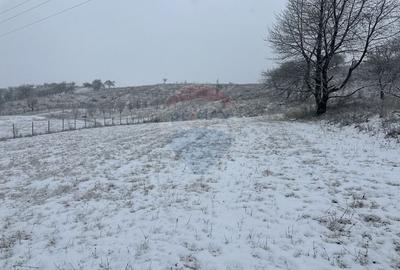 Teren Construcții intravilan de 8300 mp, în Negrești (Dobreni) - 4