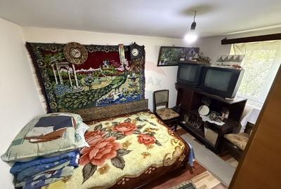 Casă individuală cu 5 camere cu Teren 3056 Mp în Sud - 6