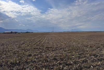 Teren dezvoltare rezidentiala Tarlungeni - zona Izvor - 8