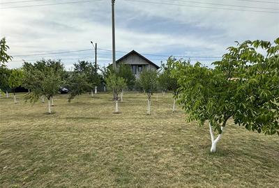 Casă individuală cu 6 camere cu Canalizare în Aradul Nou - 3
