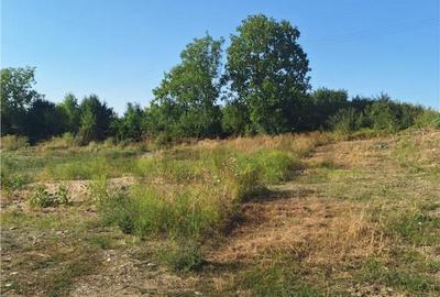 Reco, Parcel? de teren suprafata mare Alesd - 3