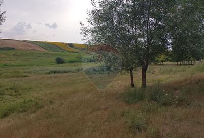 Teren agricol intravilan de 300000 mp, în Stroiești - 11