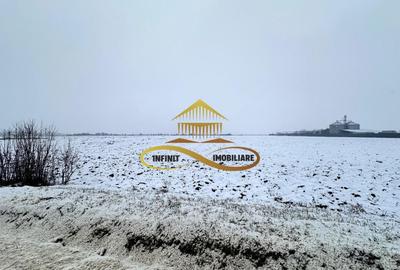 Teren Construcții intravilan de 4579 mp, în Schineni (Săucești) - 3