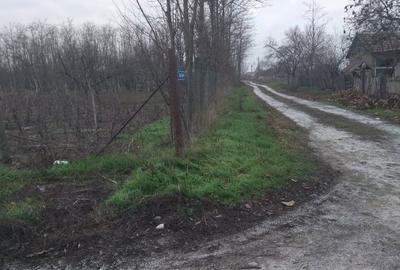 Spațiu comercial, în Rasa - 7