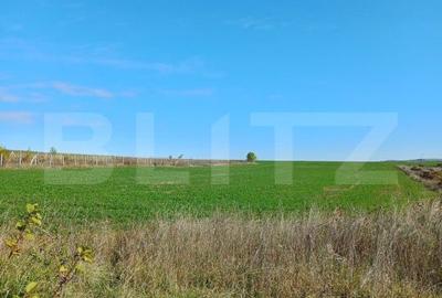 Spațiu comercial, în Copăceni