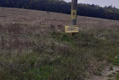 Vand teren intravilan in zona Fac.Sapientia - 5