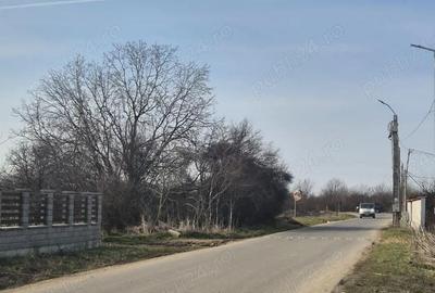 Casă cu Teren 500 Mp în Afumați - 5