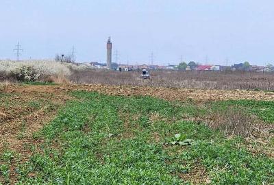 Teren de 3800 mp, în Moșnița Nouă