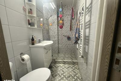 Apartament cu 2 camere, mobilat în Rahova - 2