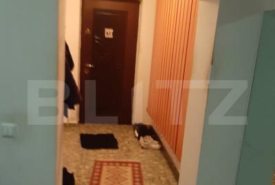 De vanzare casa 99 mp, teren 7,5 ari in Lazuri, Satu Mar - 4