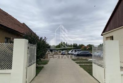 Casa în Dumbrăvița cu teren de 3039 mp și Front Stradal de 40 ml - 5