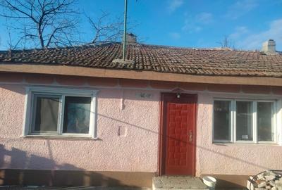 Vind casă bătrânească renovabilă - 5