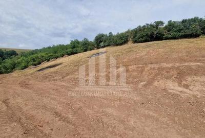 Teren intravilan intre Micesti si Sard - 3