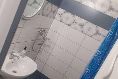 Garsoniera confort 1 la strada Calea Nationala-zona Electro Alfa - 6