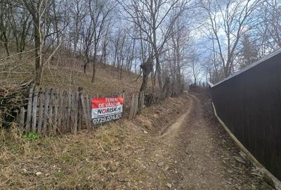 Teren Construcții intravilan de 3485 mp, în Cerașu - 1