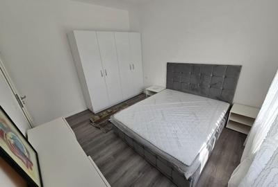 Prima inchiriere. Curte proprie. La asfalt. - 12