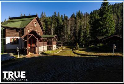 Casă cu 4 camere în Sălard - 19