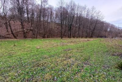 Resita, Teren Drept Intravilan, Langa Prau si Drum, Parcelab - 14